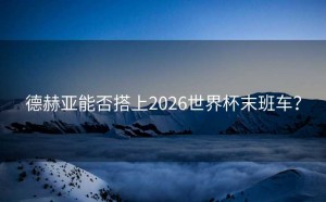 德赫亚能否搭上2026世界杯末班车？
