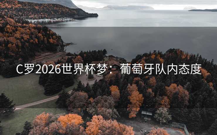 C罗2026世界杯梦:葡萄牙队内态度 C罗2026世界杯梦:葡萄牙队内态度