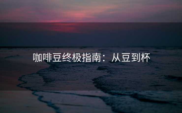 咖啡豆终极指南：从豆到杯